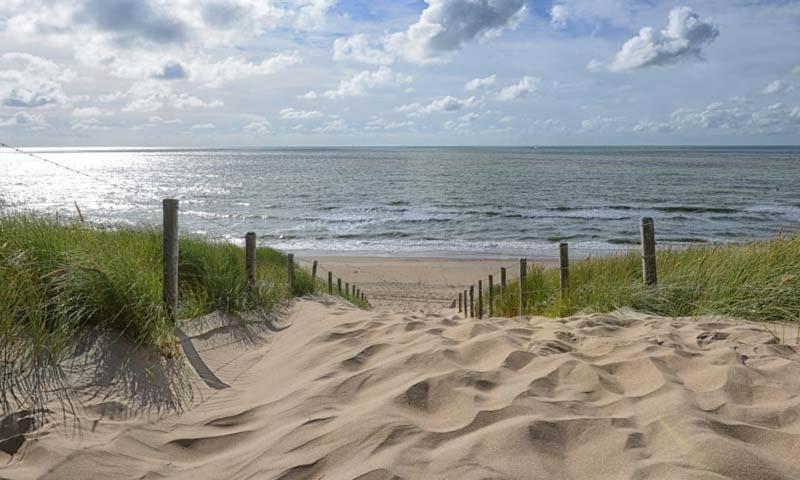 Lovely Bungalow 8P Close To Beach And Amsterdam Opmeer エクステリア 写真